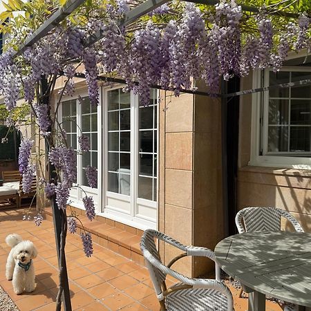 Bakea Apto Con Jardin Privado Bakio Exteriör bild