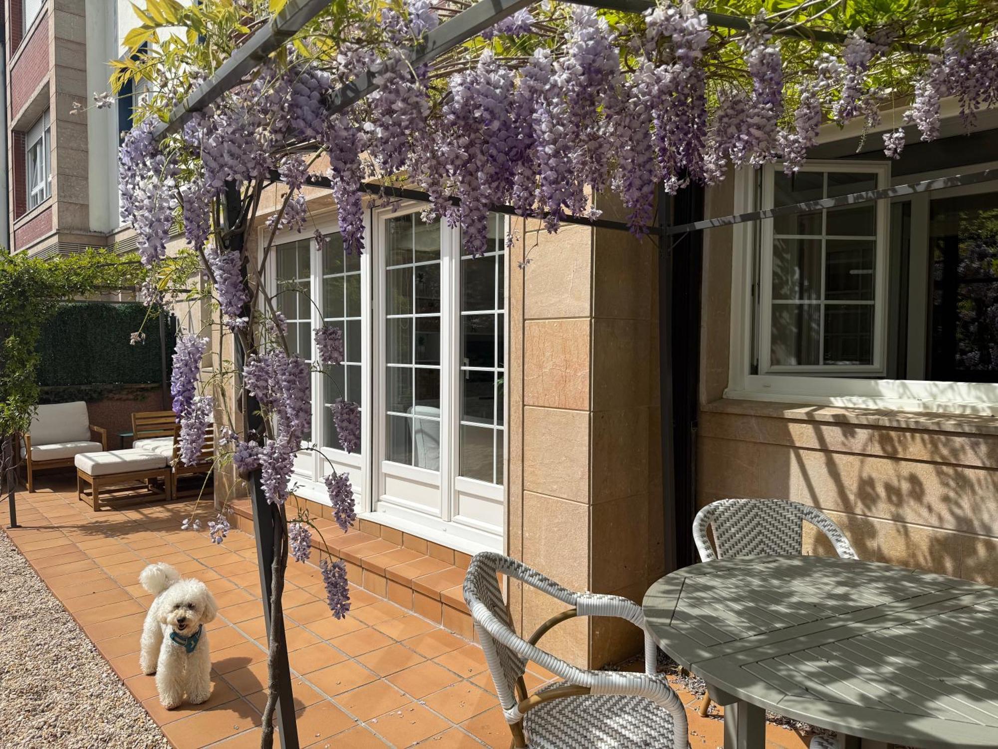 Bakea Apto Con Jardin Privado Bakio Exteriör bild
